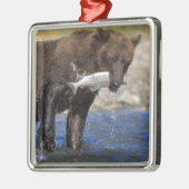 Bruin beer, grizzly beer, met zalmvangst, metalen ornament (Links)