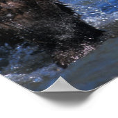 Bruin beer, grizzly beer, met zalmvangst, poster (Hoek)