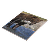 Bruin beer, grizzly beer, met zalmvangst, tegeltje (Zijkant)