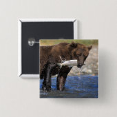 Bruin beer, grizzly beer, met zalmvangst, vierkante button 5,1 cm (Voorkant /achterkant)