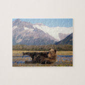 Bruin beer, grizzly beer op zijn rug legpuzzel (Horizontaal)