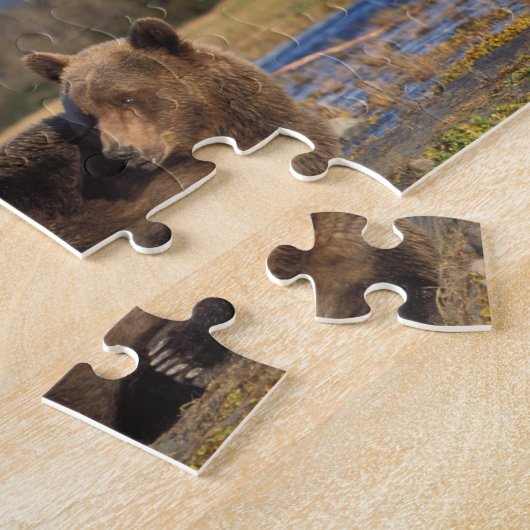 Bruin beer, grizzly beer op zijn rug legpuzzel (Zijkant)