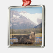 Bruin beer, grizzly beer op zijn rug metalen ornament (Links)