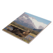 Bruin beer, grizzly beer op zijn rug tegeltje (Zijkant)