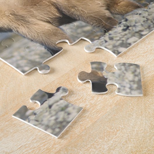 Bruin beer, grizzly beer, speel op het strand, legpuzzel (Zijkant)