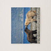 Bruin beer, grizzly beer, speel op het strand, legpuzzel (Verticaal)