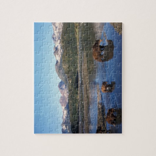 Bruin beer, grizzly beer, zeug en kubben in legpuzzel (Verticaal)