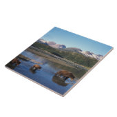 Bruin beer, grizzly beer, zeug en kubben in tegeltje (Zijkant)