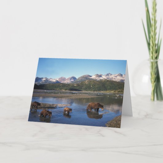 Bruin beer, grizzly beer, zeug en kubben kaart (Voorkant)