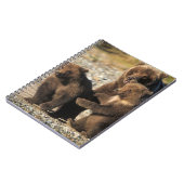 Bruin beer, grizzly beer, zeug met kubben aan de k notitieboek (Linkerzijde)