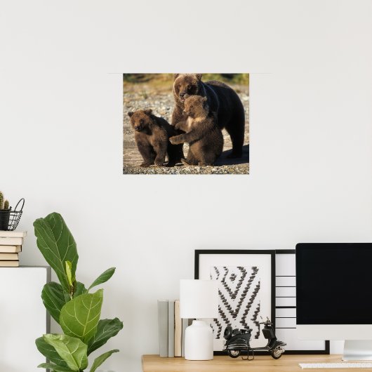 Bruin beer, grizzly beer, zeug met kubben aan de k poster (Thuiskantoor)