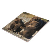 Bruin beer, grizzly beer, zeug met kubben aan de k tegeltje (Zijkant)