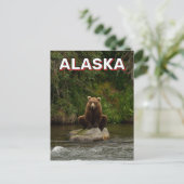 Bruin Beer in Alaska Briefkaart (Staand voorkant)