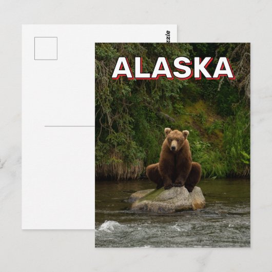 Bruin Beer in Alaska Briefkaart (Voorkant / Achterkant)