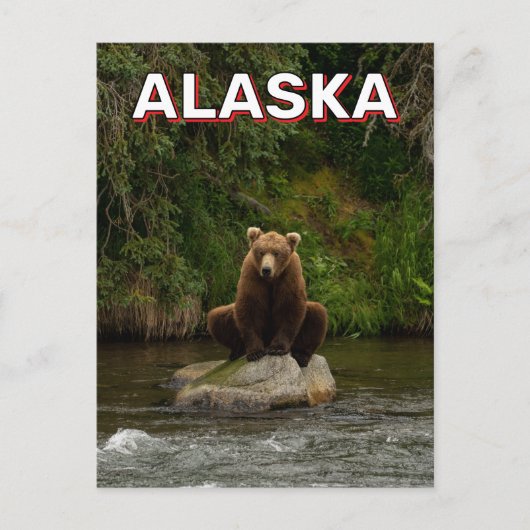 Bruin Beer in Alaska Briefkaart (Voorkant)