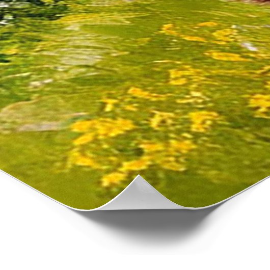 Bruin Beer in een bergweide Poster (Hoek)