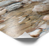 Bruin Beer in Stream Foto Afdruk (Hoek)