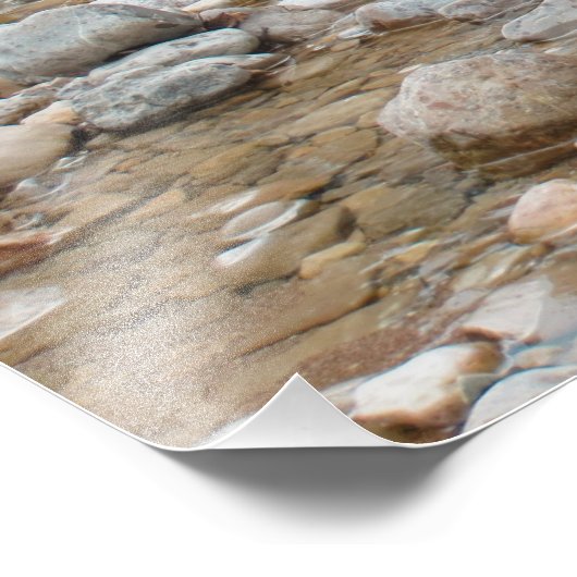 Bruin Beer in Stream Foto Afdruk (Hoek)