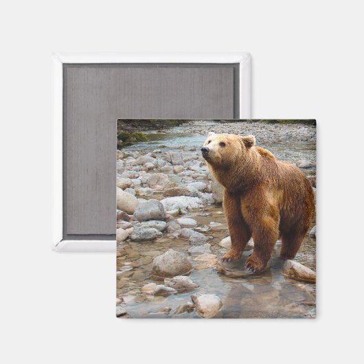 Bruin Beer in Stream Magneet (Voorkant / Achterkant)