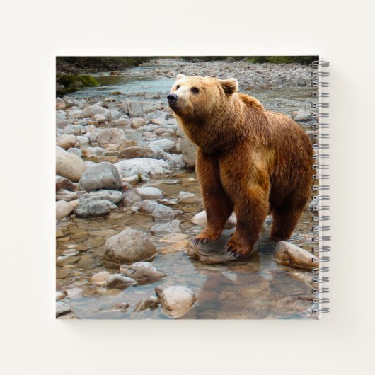 Bruin Beer in Stream Notitieboek (Achterkant)