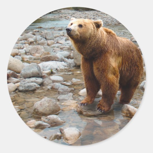Bruin Beer in Stream Ronde Sticker (Voorkant)
