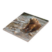 Bruin Beer in Stream Tegeltje (Zijkant)