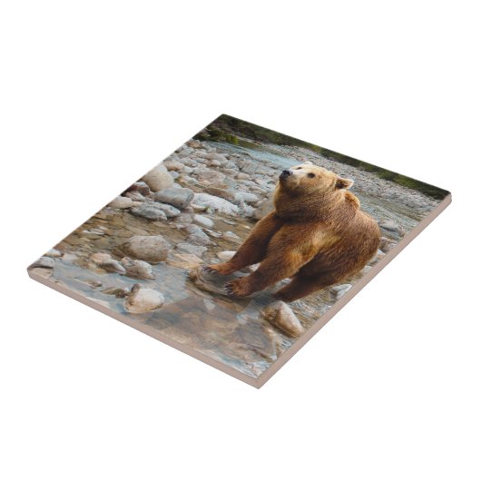 Bruin Beer in Stream Tegeltje (Zijkant)