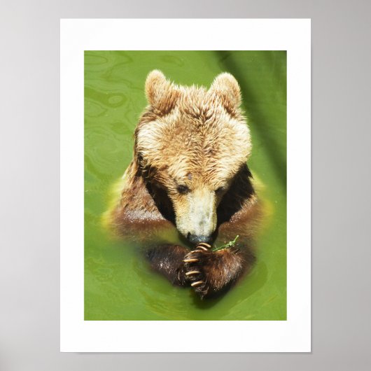 Bruin beer in water poster (Voorkant)