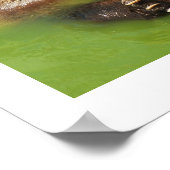 Bruin beer in water poster (Hoek)