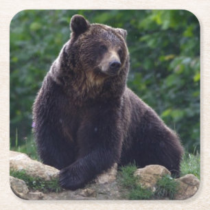 Bruin beer kartonnen onderzetters