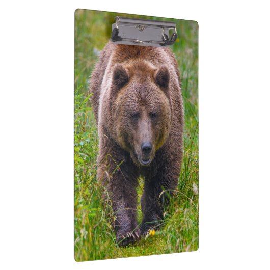 Bruin Beer Klembord (Rechts)