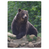 Bruin beer klembord (Achterkant)