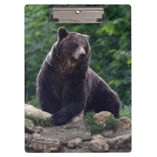 Bruin beer klembord (Voorkant)