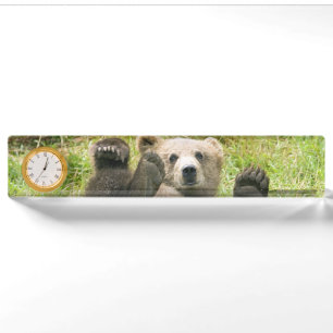 Bruin Beer Kodiak Cub Gifts Naambordje