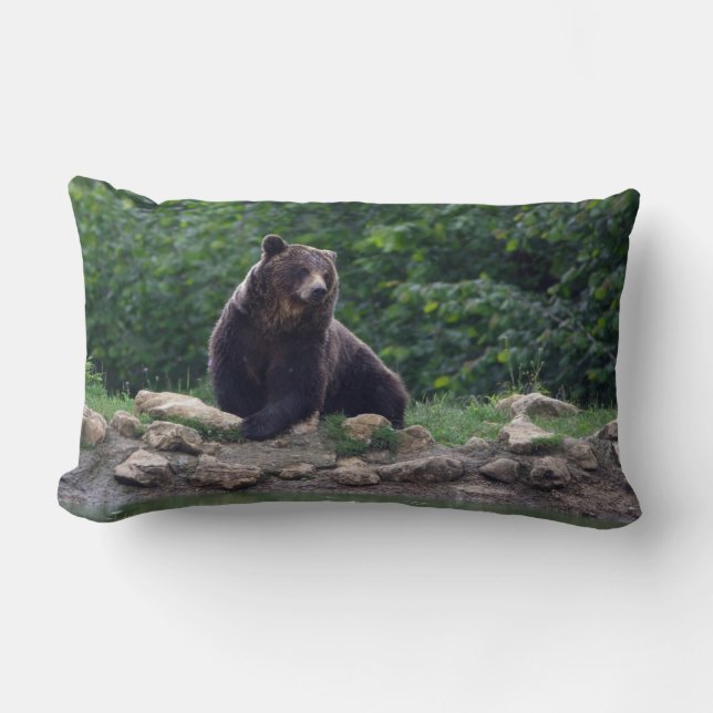 Bruin beer kussen (Voorkant)