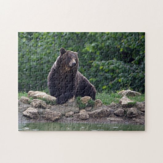 Bruin beer legpuzzel (Horizontaal)