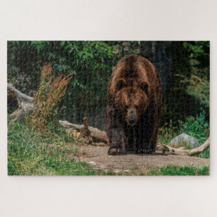Bruin Beer Legpuzzel
