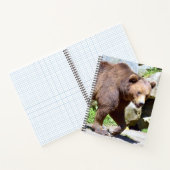 Bruin beer lopend briefkaart notitieboek (Binnen)