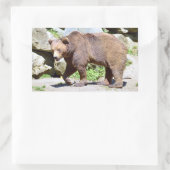 Bruin beer lopend briefkaart T-Shirt Coffee Mok Rechthoekige Sticker (Tas)