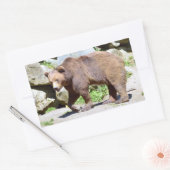 Bruin beer lopend briefkaart T-Shirt Coffee Mok Rechthoekige Sticker (Envelop)