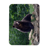 Bruin beer magneet (Verticaal)