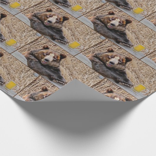 Bruin Beer met bier Cadeaupapier (Hoek)