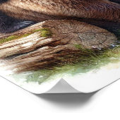 Bruin Beer met twee welpen Poster (Hoek)