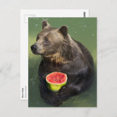 Bruin Beer met watermeloen Briefkaart (Voorkant / Achterkant)
