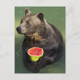 Bruin Beer met watermeloen Briefkaart