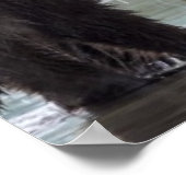 Bruin Beer | Nationaal park Lake Clark Poster (Hoek)