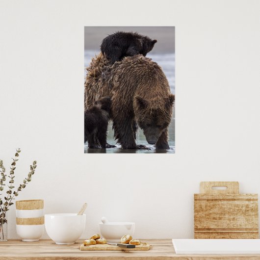 Bruin Beer | Nationaal park Lake Clark Poster (Keuken)