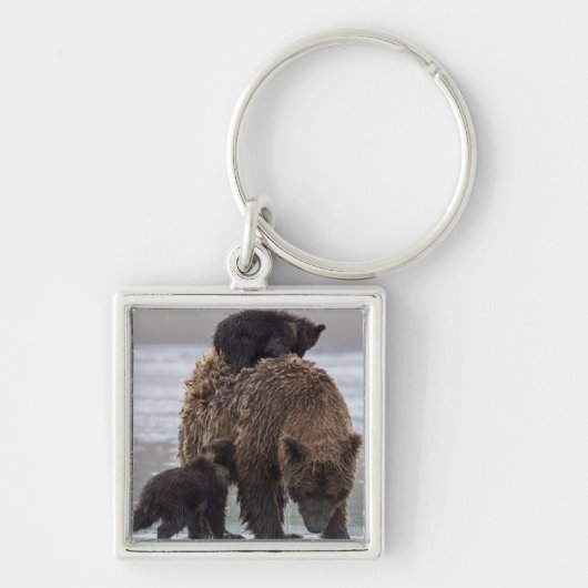 Bruin Beer | Nationaal park Lake Clark Sleutelhanger (Voorkant)