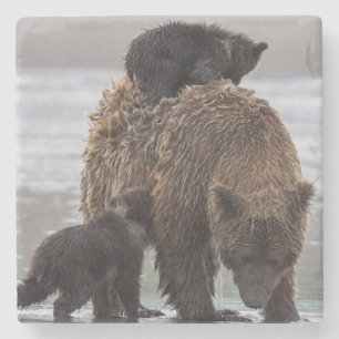 Bruin Beer Nationaal park Lake Clark Stenen Onderzetter
