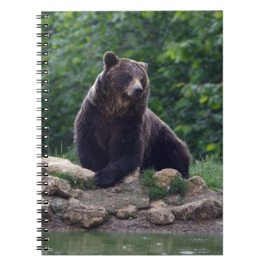 Bruin beer notitieboek (Voorkant)
